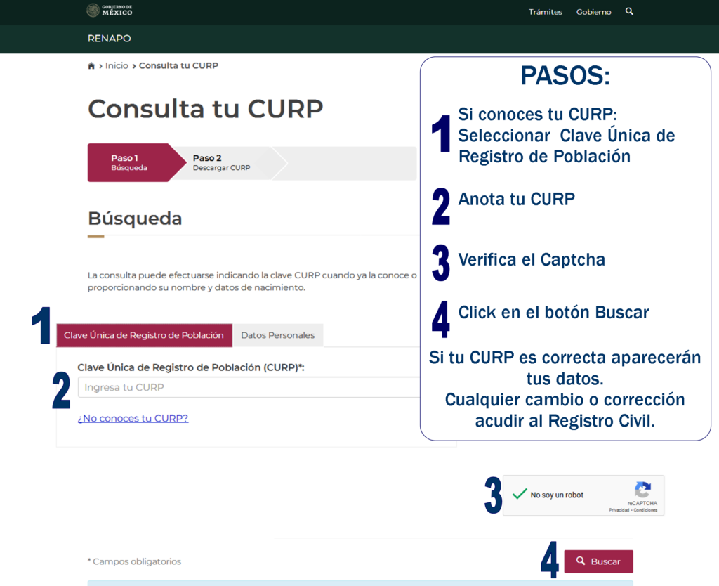 Consultar tu CURP