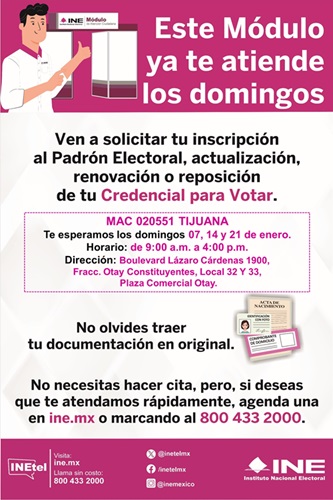 INE Consulta en Línea 2024