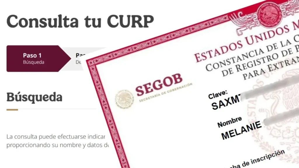 Consultar tu CURP