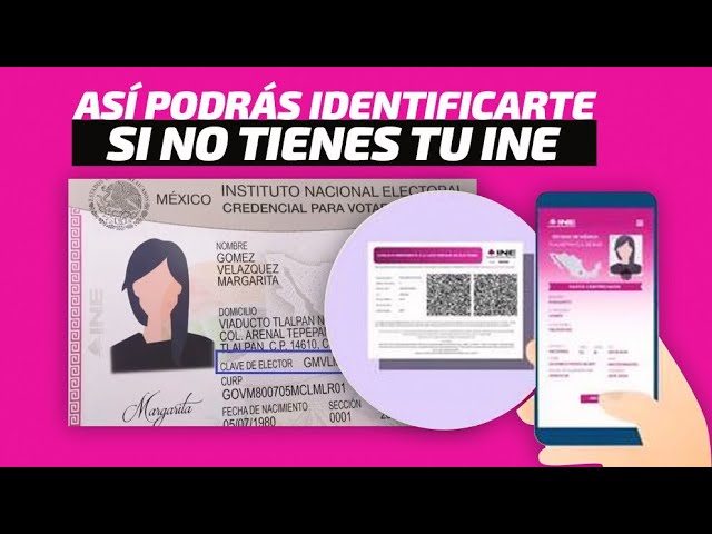 INE Consulta en Línea 2024