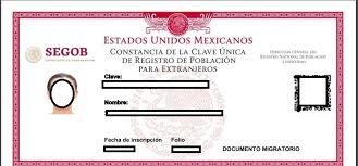 Consultar tu CURP