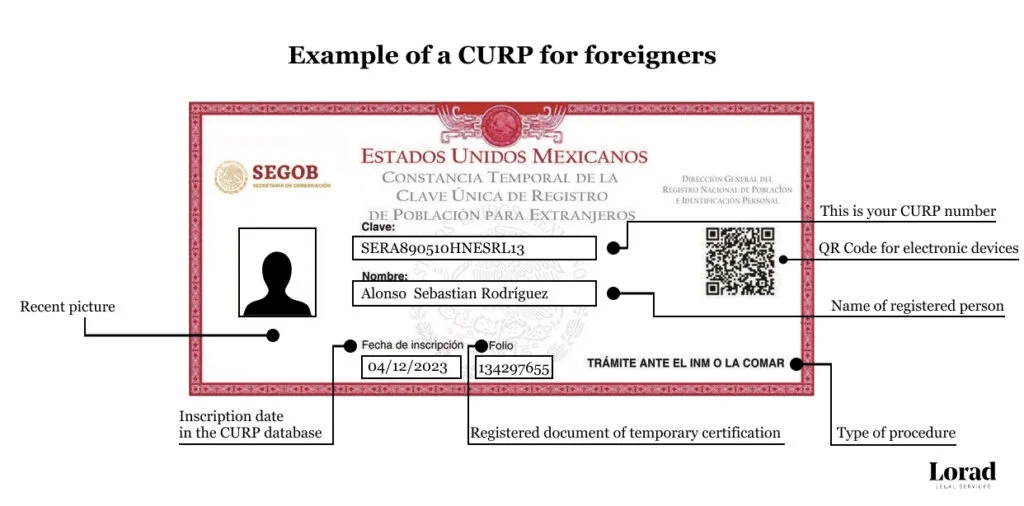 Encuentras tu CURP