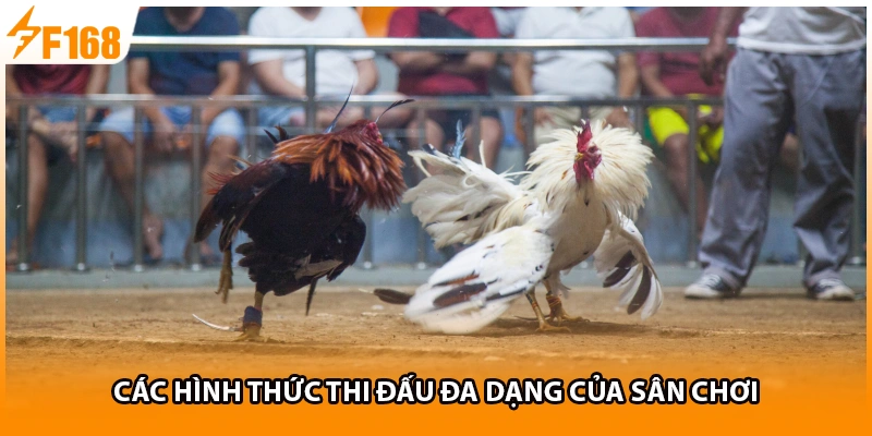 Các hình thức thi đấu đa dạng của sân chơi