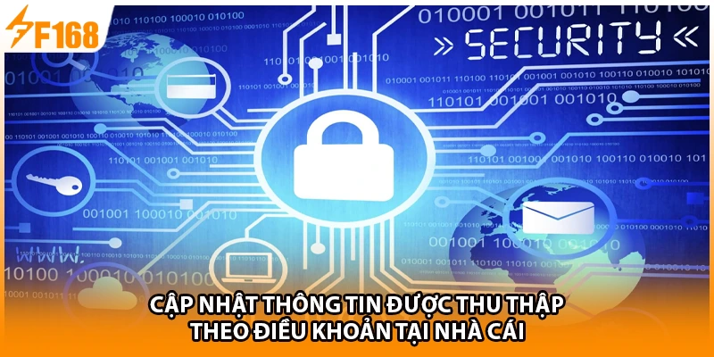 Cập nhật thông tin được thu thập theo điều khoản tại nhà cái