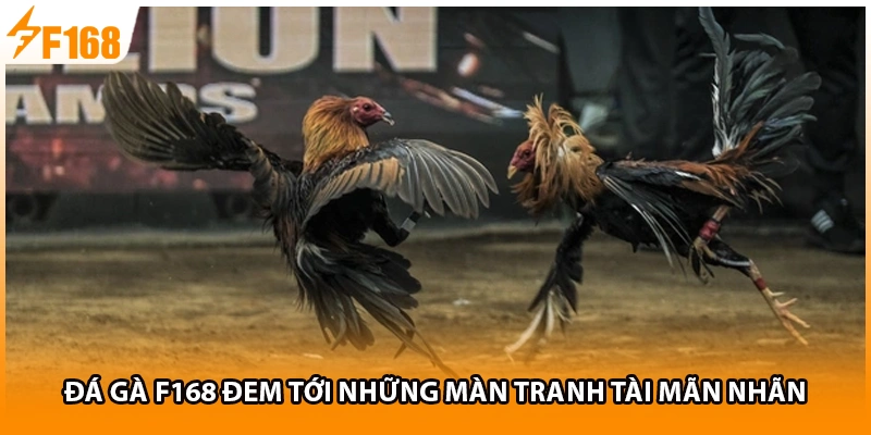 Đá gà F168 đem tới những màn tranh tài mãn nhãn