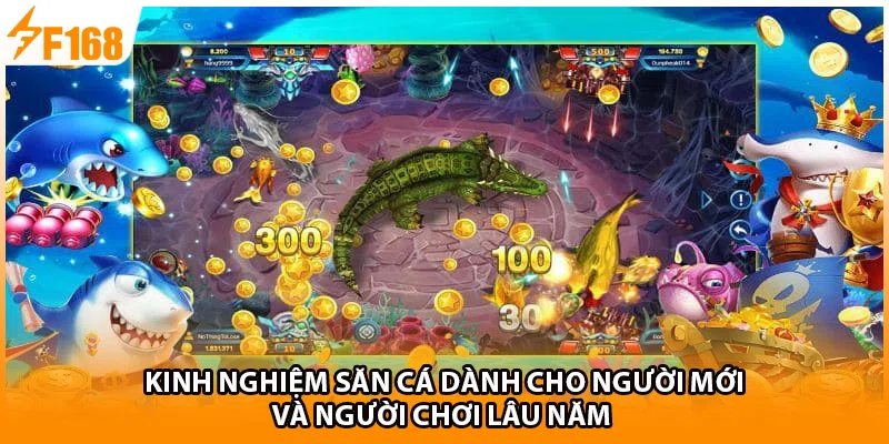 Kinh nghiệm săn cá dành cho người mới và người chơi lâu năm 
