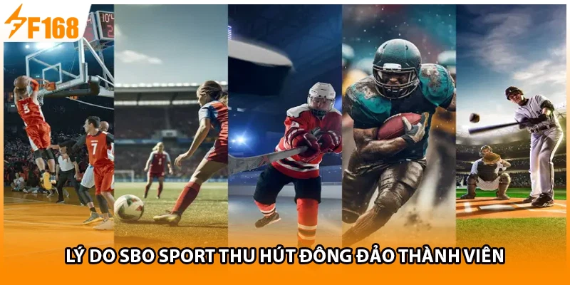 Lý do SBO Sport thu hút đông đảo thành viên