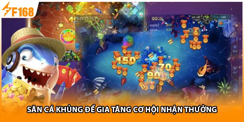 Săn cá khủng để gia tăng cơ hội nhận thưởng 