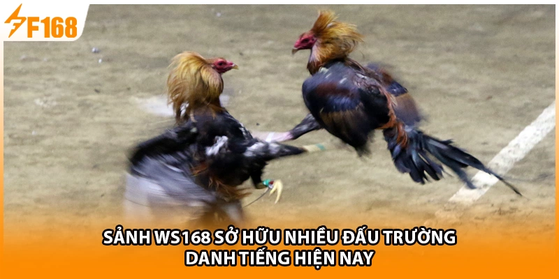 Sảnh WS168 sở hữu nhiều đấu trường danh tiếng hiện nay