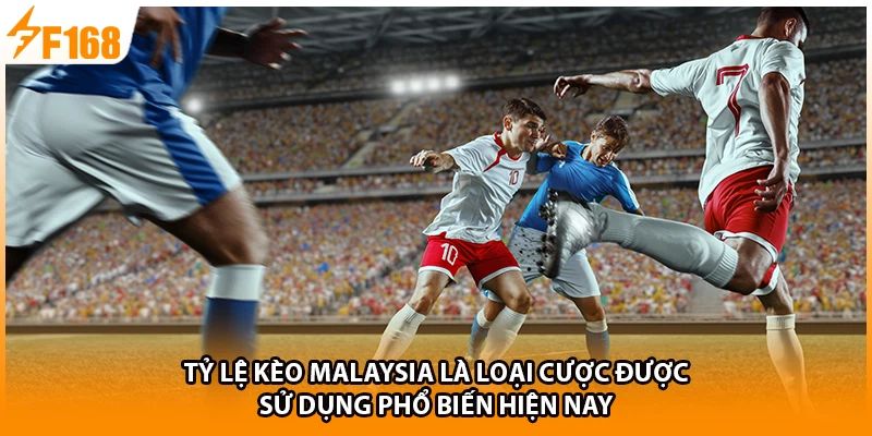 Tỷ lệ kèo Malaysia là loại cược được sử dụng phổ biến hiện nay 